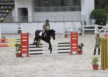 Integración y visita cultural en la Escuela de Equitación del Ejército