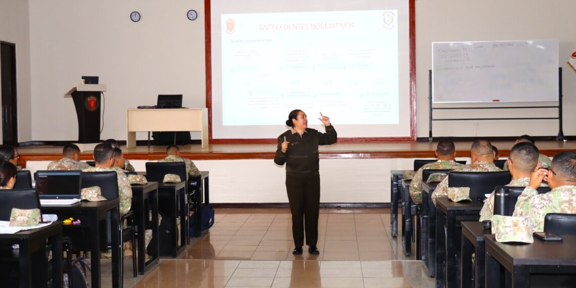 Análisis normativo sobre decreto legislativo Nº 1095