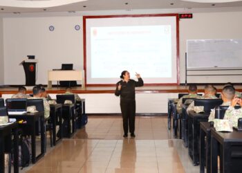 Análisis normativo sobre decreto legislativo Nº 1095